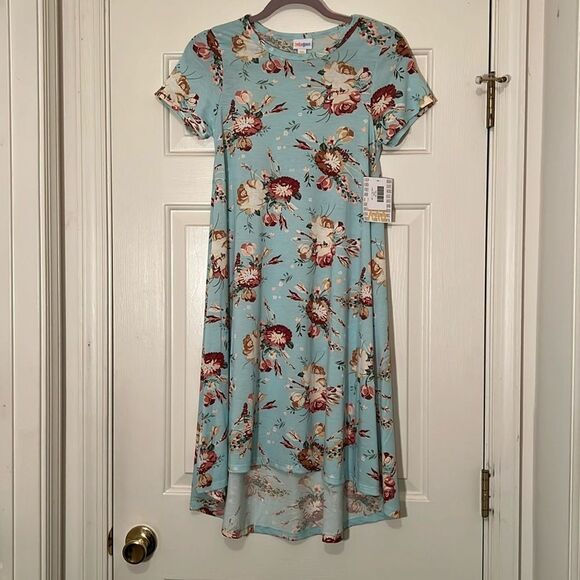 NWT LulaRoe Carly Dress - Picture 1 of 5